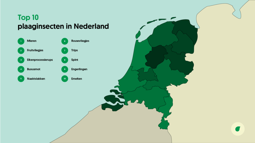 Plaaginsecten Nederland