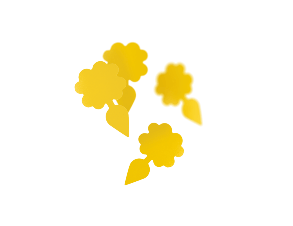 Vangplaten tegen rouwvliegjes