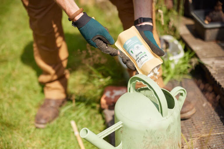 Aaltjes uitzetten met gieter