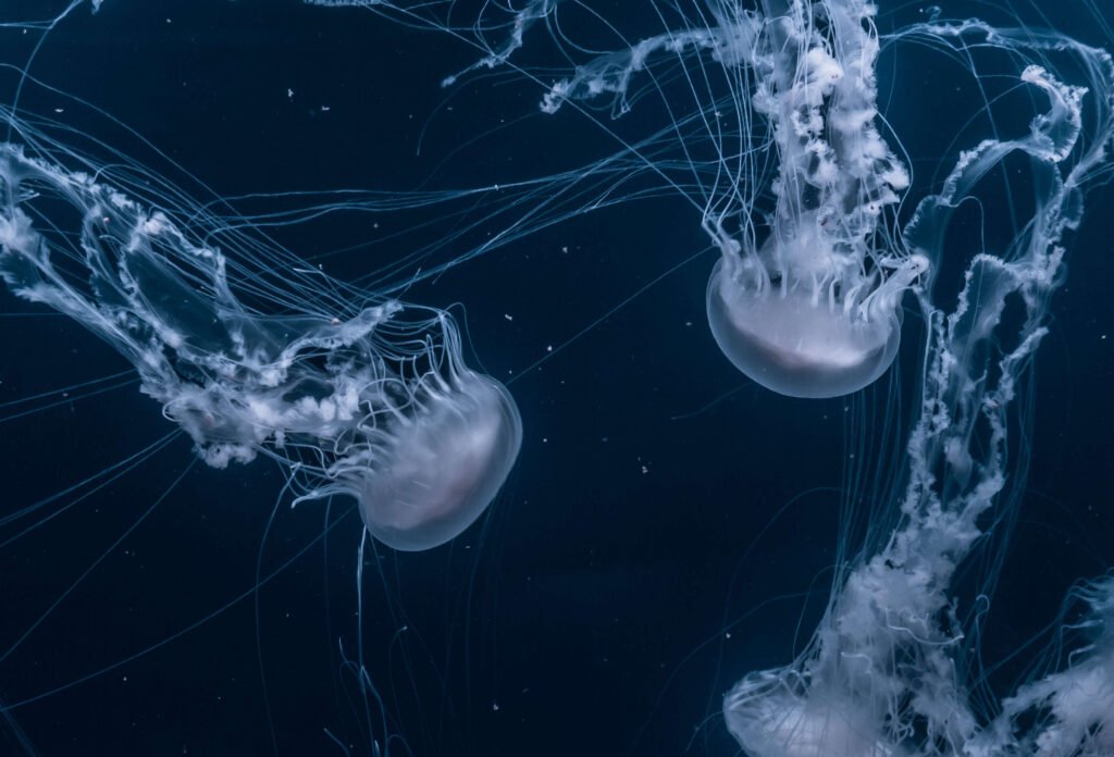 Oorsprong van nematoden