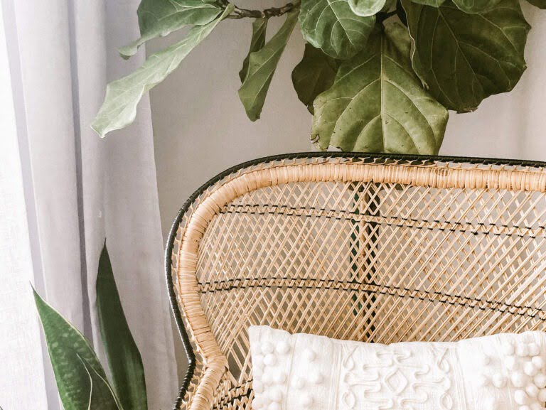 Rouwvliegjes in huis