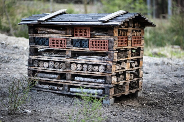 Zelf een insectenhotel bouwen