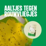 Aaltjes tegen rouwvliegjes - Ons product - Aaltjesonline
