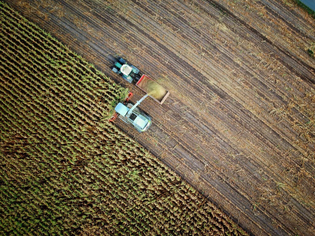 Oogst van boven
