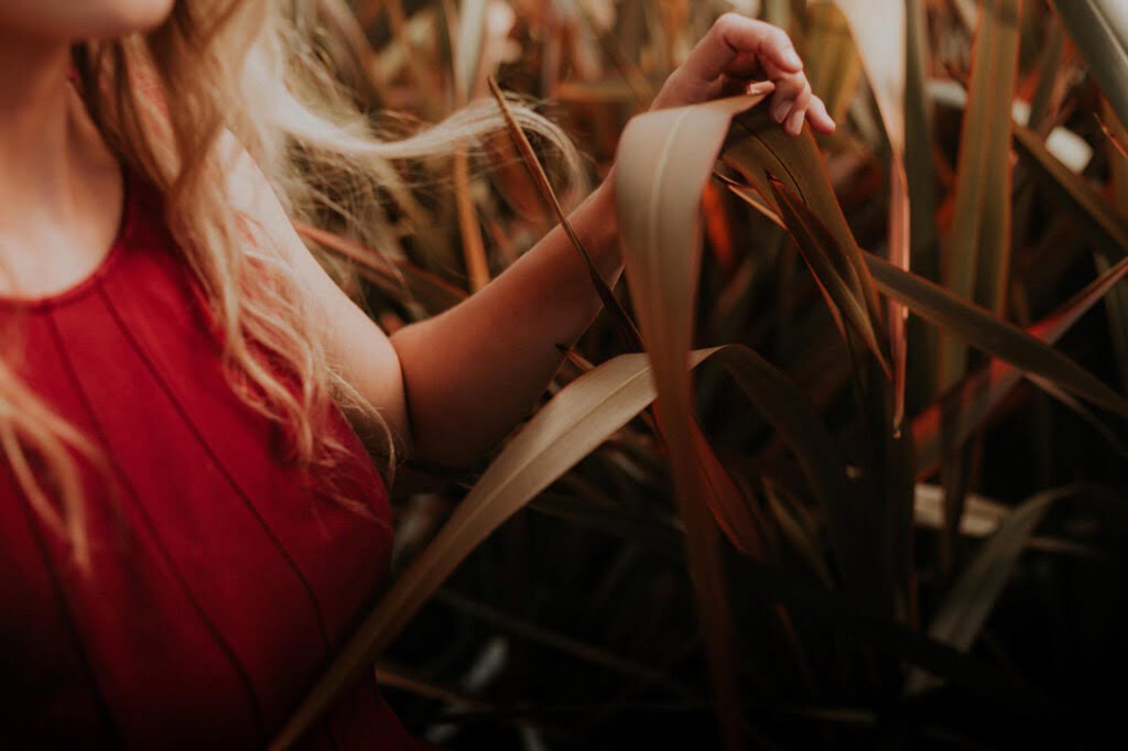 Fouten die je maakt in de moestuin