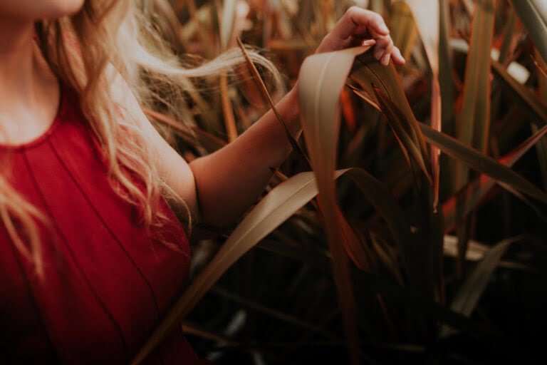 Fouten die je maakt in de moestuin