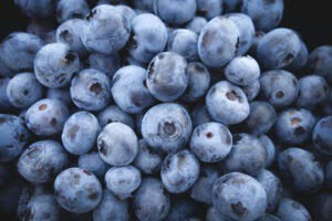 Blauwe bessen zelf kweken