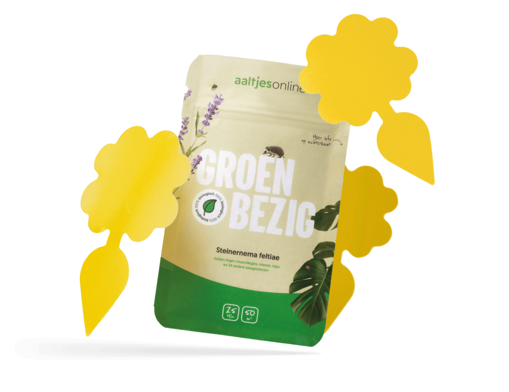 Vangplaten en aaltjes tegen rouwvliegjes