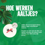 Hoe werken aaltjes tegen mieren - AaltjesOnline
