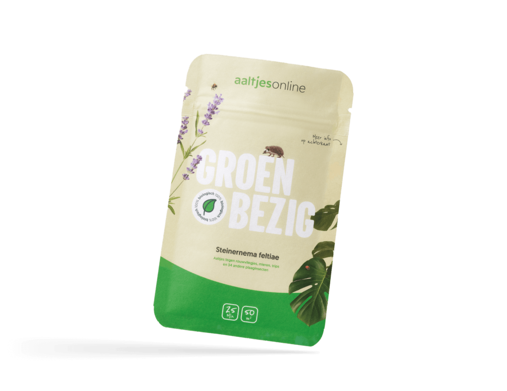 Aaltjes tegen rouwvliegjes, mieren, trips, coloradokever | Steinernema feltiae aaltjes