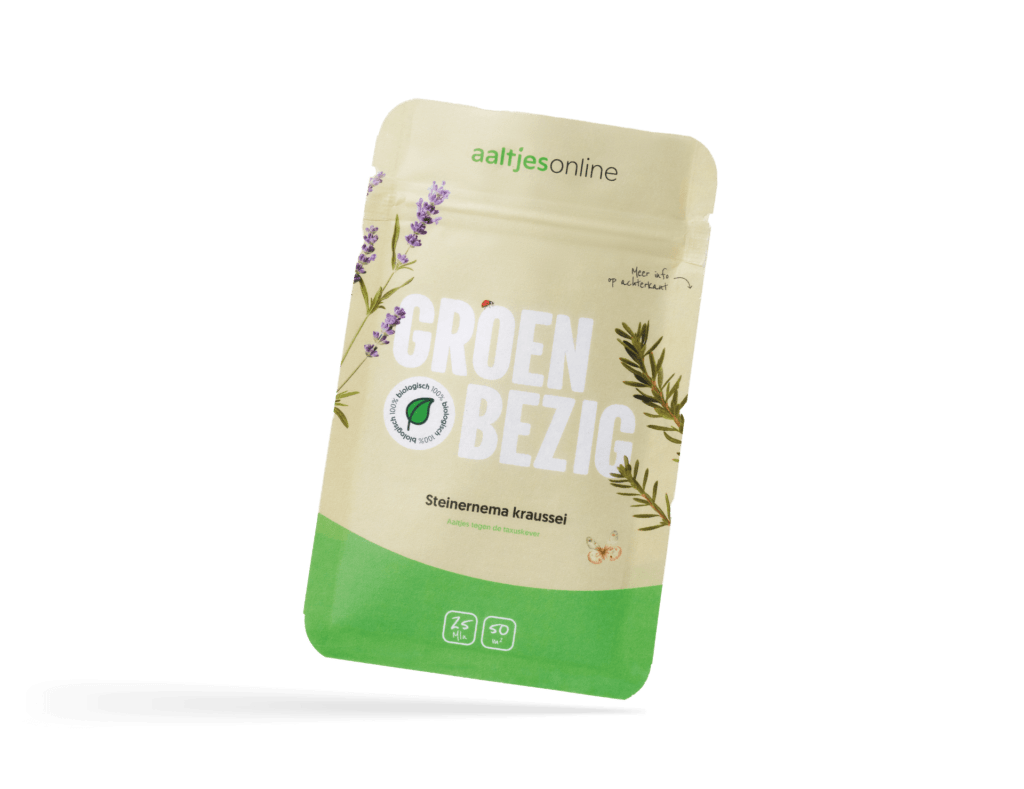 Aaltjes tegen taxuskever | Steinernema kraussei