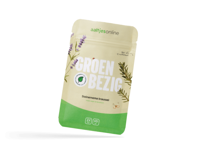 Aaltjes tegen taxuskever | Steinernema kraussei