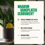 Vangplaten tegen tripsen - Aaltjesonline