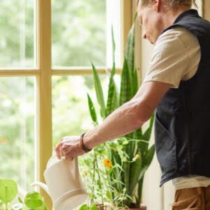 Man met kamerplanten