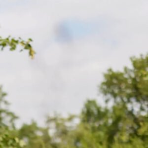 Uitzetinstructies weinig UV-licht