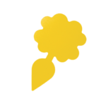 Vangplaten tegen rouwvliegjes