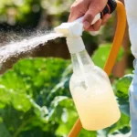 Makkelijk sproeien met de EcoSprayer