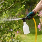 Ecosprayer gebuik je om eenvoudig aaltjes uit te zetten