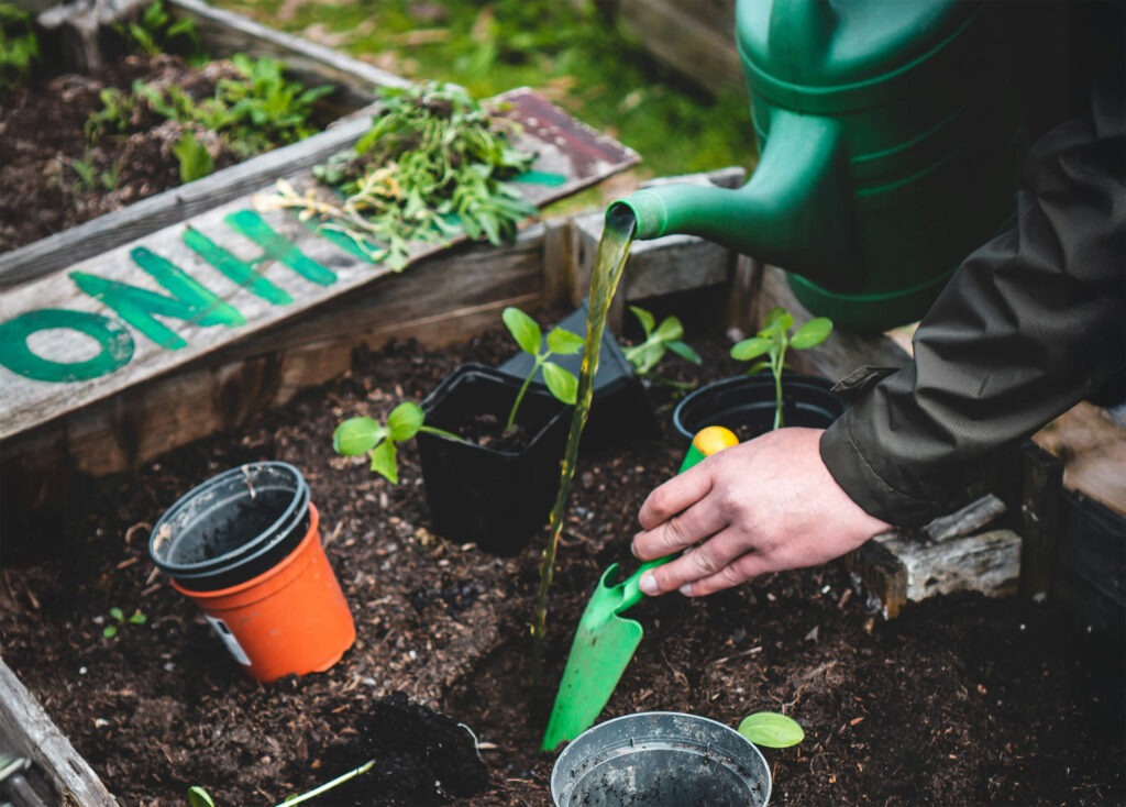 Zelf plantenvoeding maken