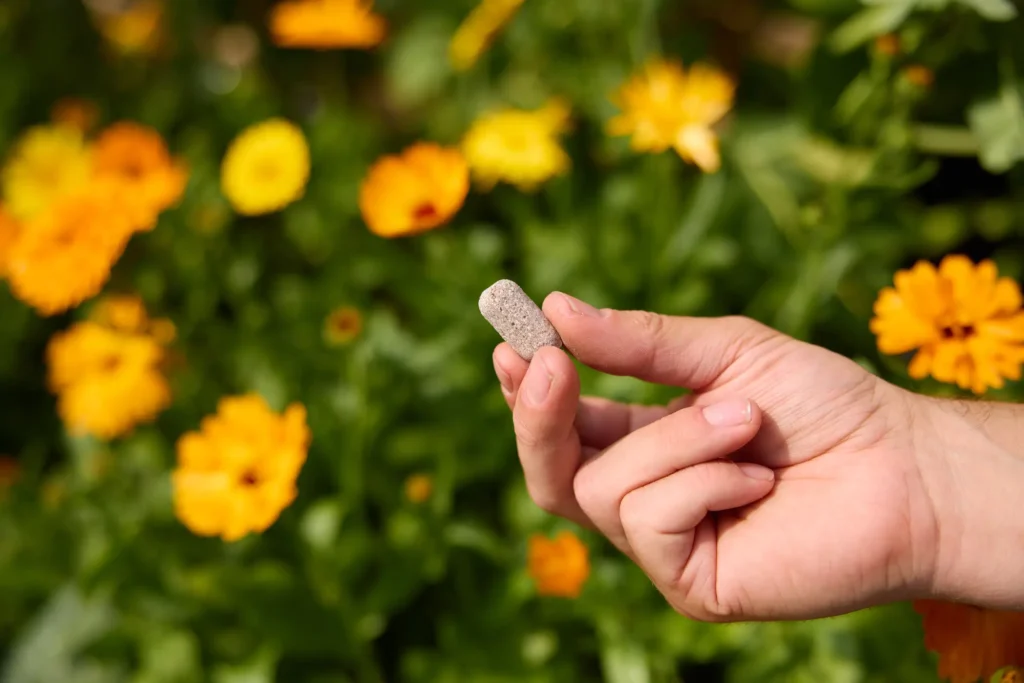 Plant Tabs plantenvoeding voor al je planten | Aaltjesonline.nl