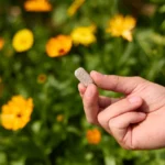 Plant Tabs plantenvoeding voor al je planten | Aaltjesonline.nl
