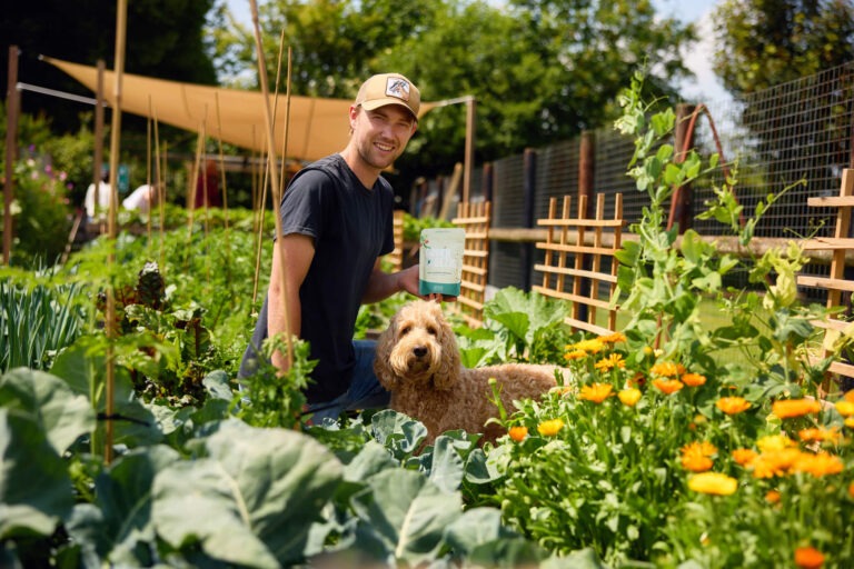 Aaltjes zijn veilig voor mens & dier