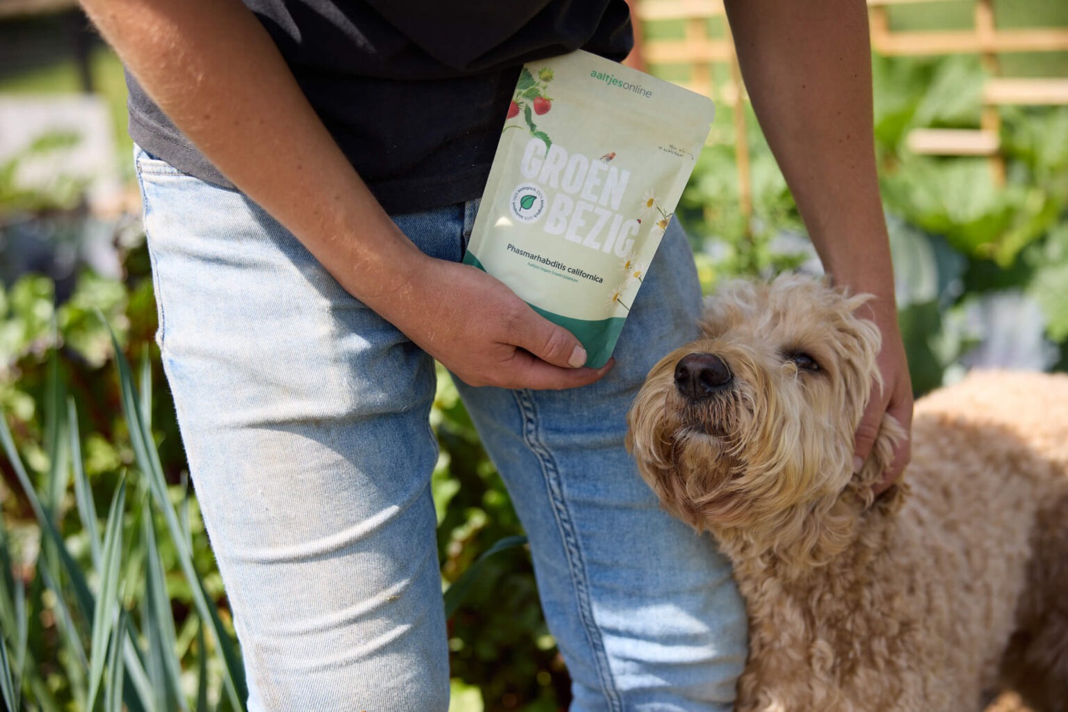 Aaltjes zijn veilig voor mens & dier