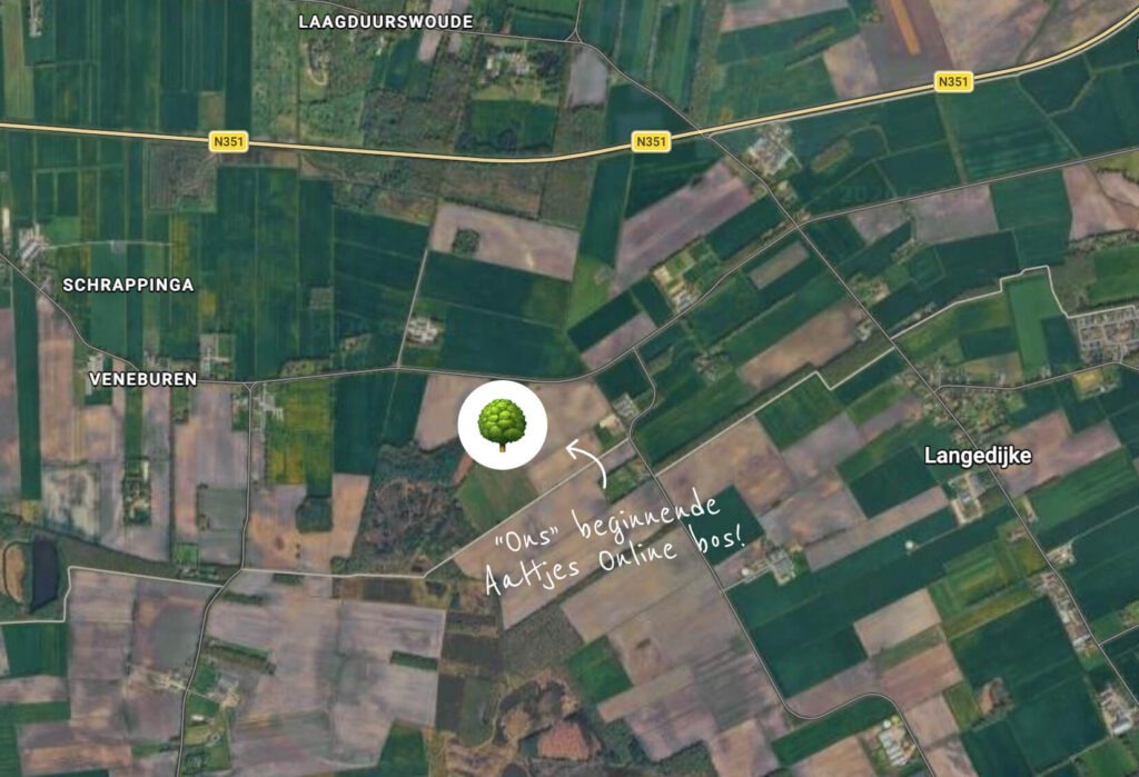 "ons" beginnende bos - Samenwerking Trees for All