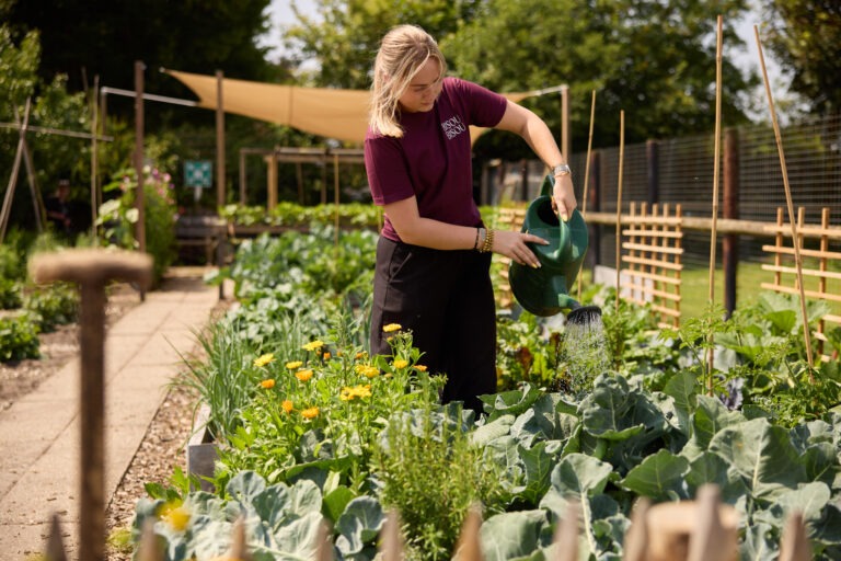 Hitte in de tuin? Zo help jij je gazon en planten de zomer door!